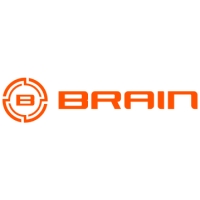 Brain